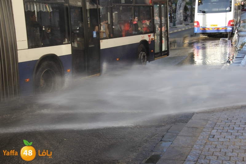 naforea jsadsah (7).JPG